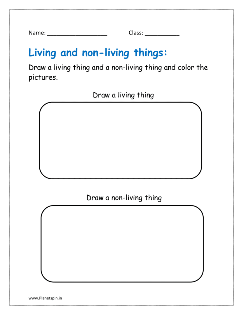 Draw a living thing and a non living thing and color the pictures.