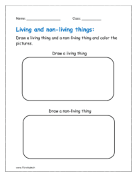 Draw a living thing and a non living thing and color the pictures.