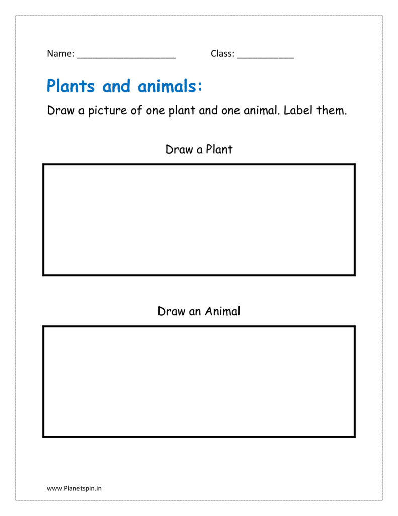 Draw a picture of one plant and one animal. Label them in the given worksheet pdf