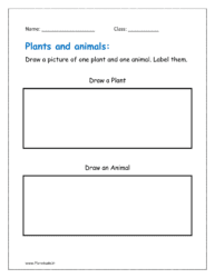 Draw a picture of one plant and one animal. Label them in the given worksheet pdf