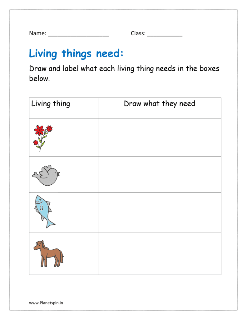 Draw and label what each organism needs in the boxes below.