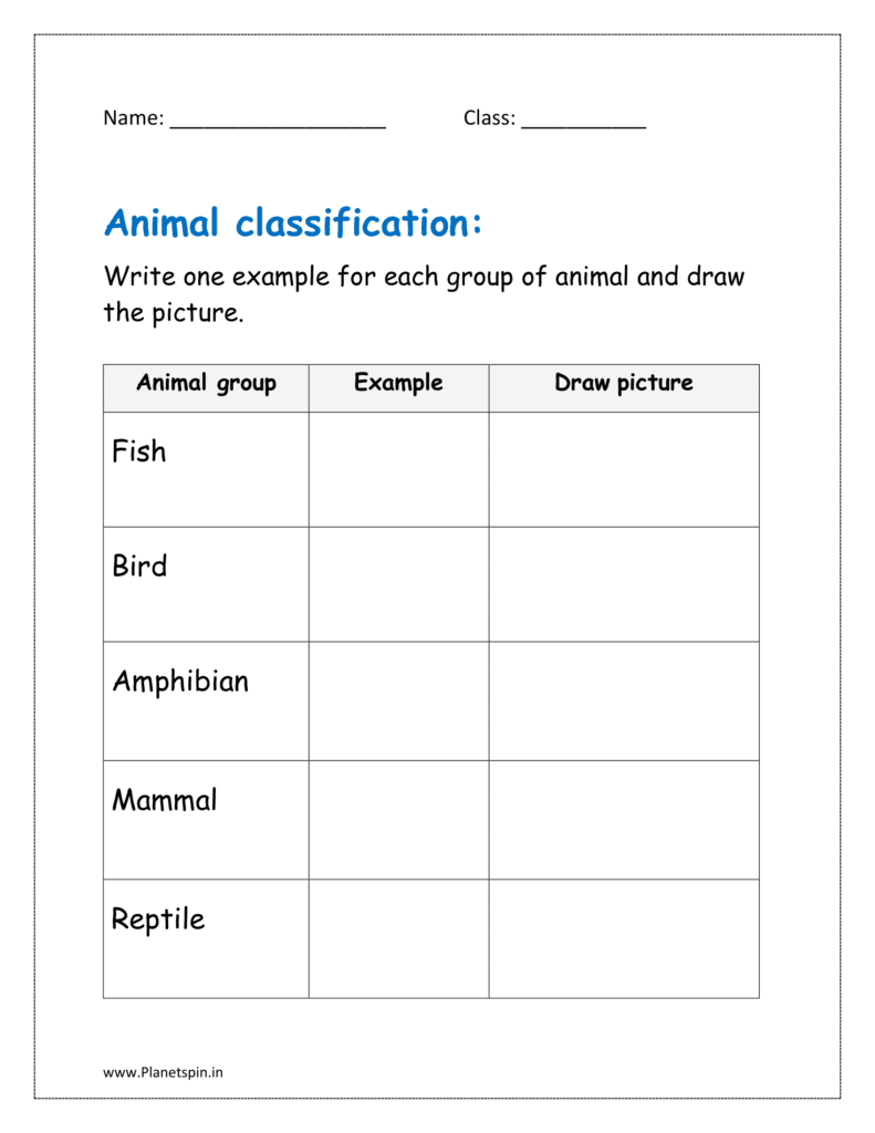 Write one example for each group of animal and draw the picture.