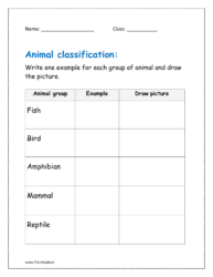 Write one example for each group of animal and draw the picture.