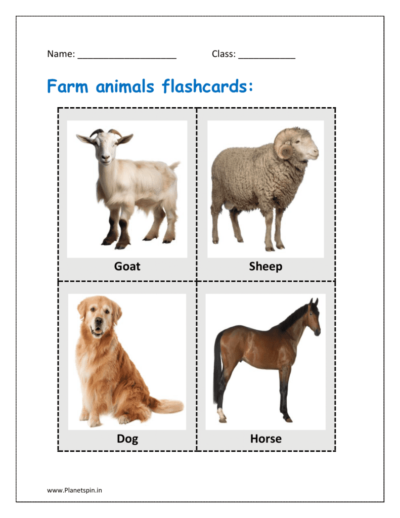 Farm animals flashcards: Goat, sheep, dog, horse