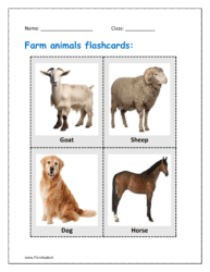 Farm animals flashcards: Goat, sheep, dog, horse