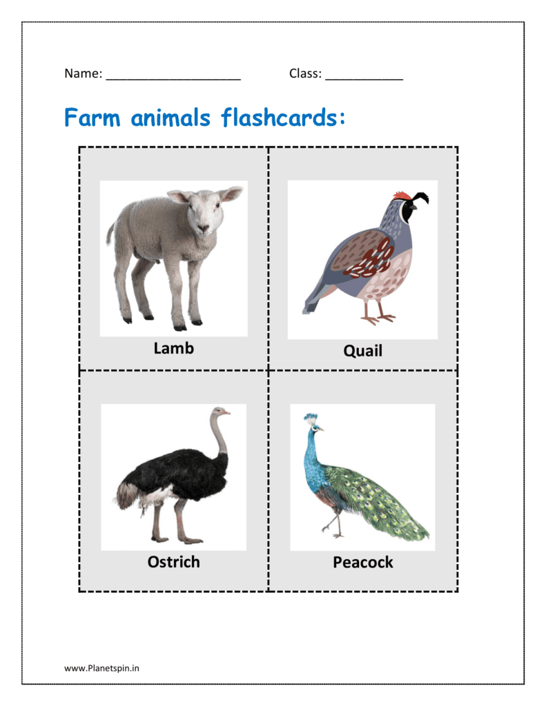 5. Farm animals flashcards: Lamb, quail, ostrich, peacock