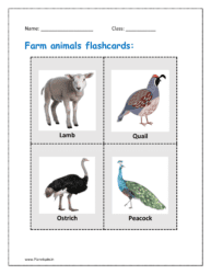 5. Farm animals flashcards: Lamb, quail, ostrich, peacock