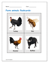 6. Farm animals flashcards: Turkey, bee, rooster, buffalo