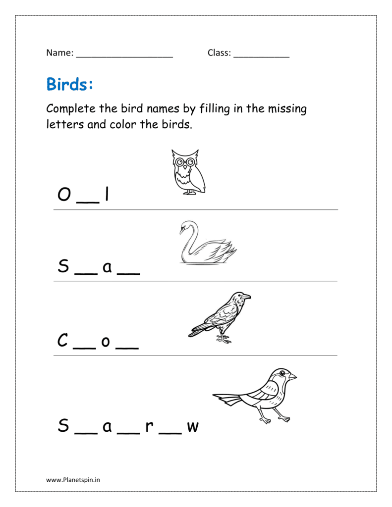 Complete the bird names by filling in the missing letters and color the birds