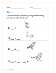 Complete the bird names by filling in the missing letters and color the birds