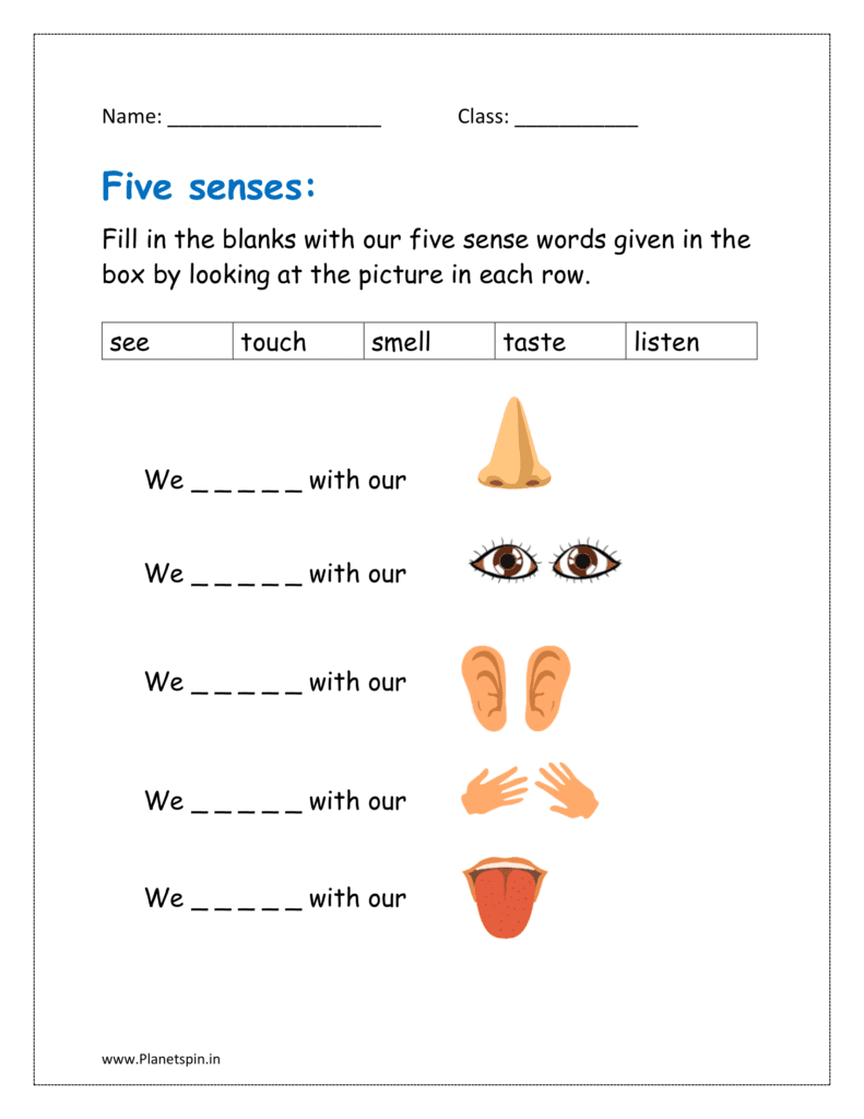 Fill in the blanks with our five sense words given in the box by looking at the picture in each row