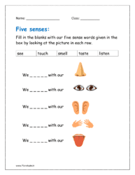 Fill in the blanks with our five sense words given in the box by looking at the picture in each row