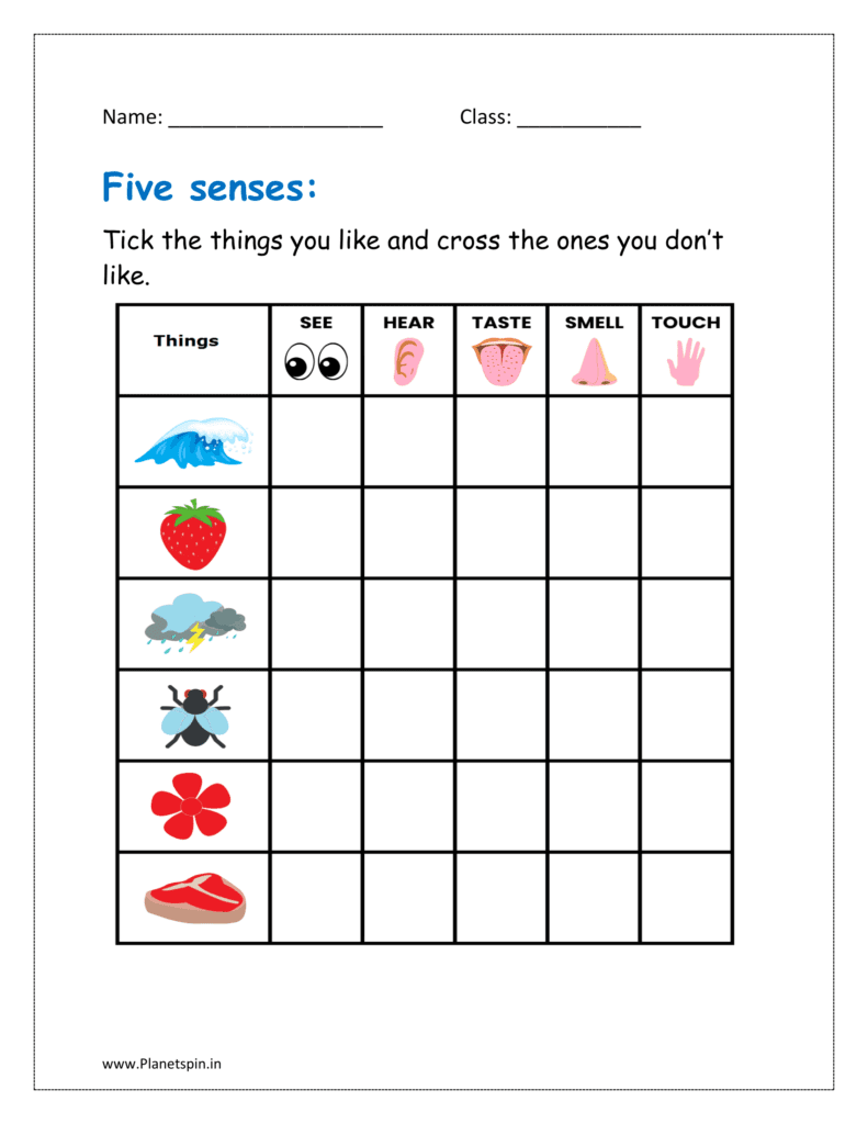 sense organs worksheet for kindergarten pdf