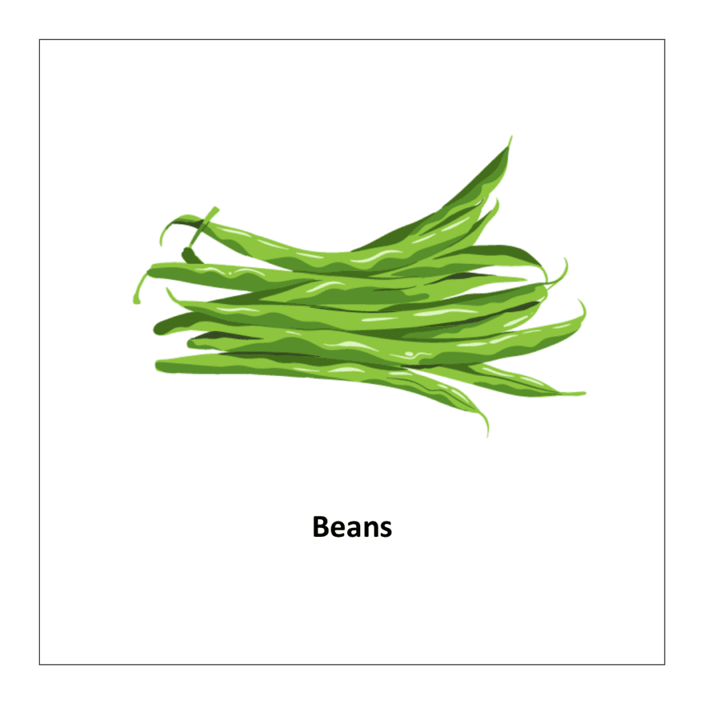  Free printable flashcard of vegetables: Beans