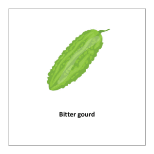 Vegetable flashcard: Bitter gourd