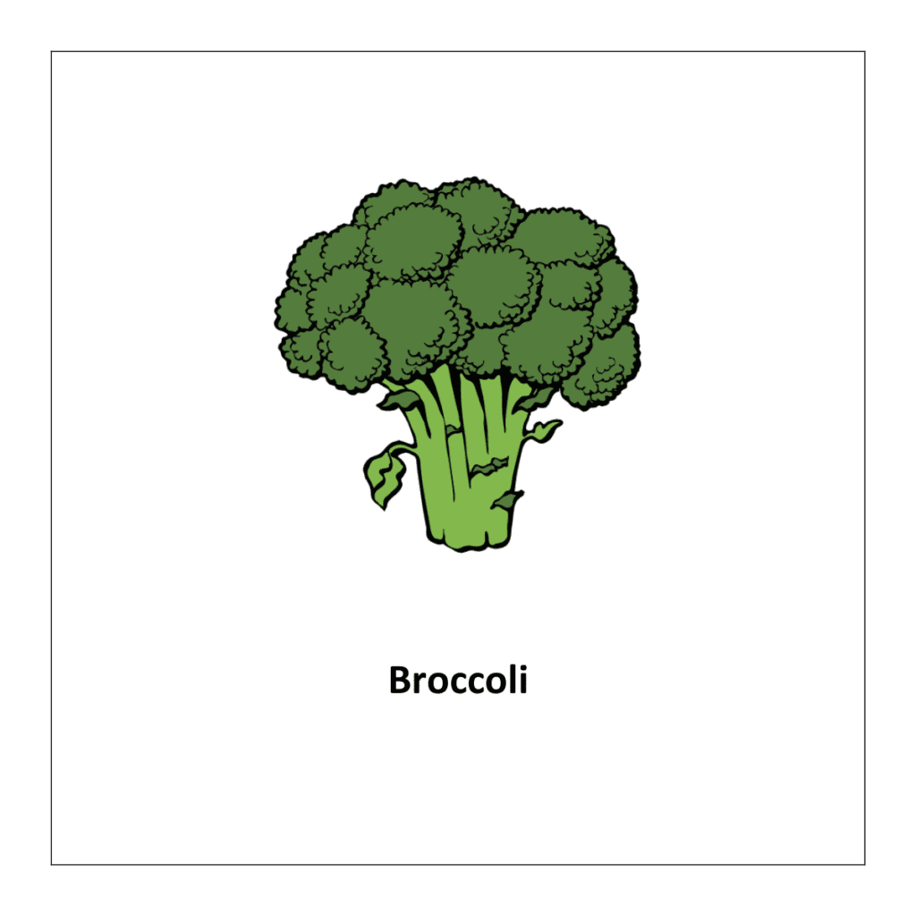 Vegetable flashcard: Broccoli