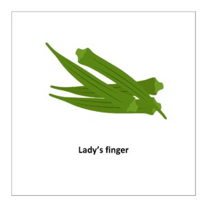 Vegetable flashcard: Lady's finger