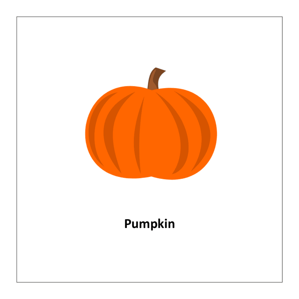 Flash card of vegetable list: Pumpkin