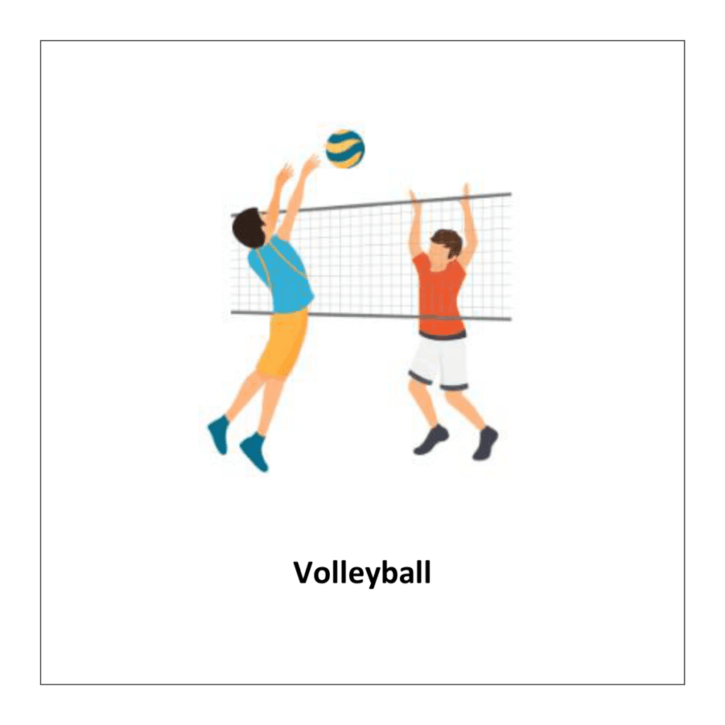 flashcard of Volleyball