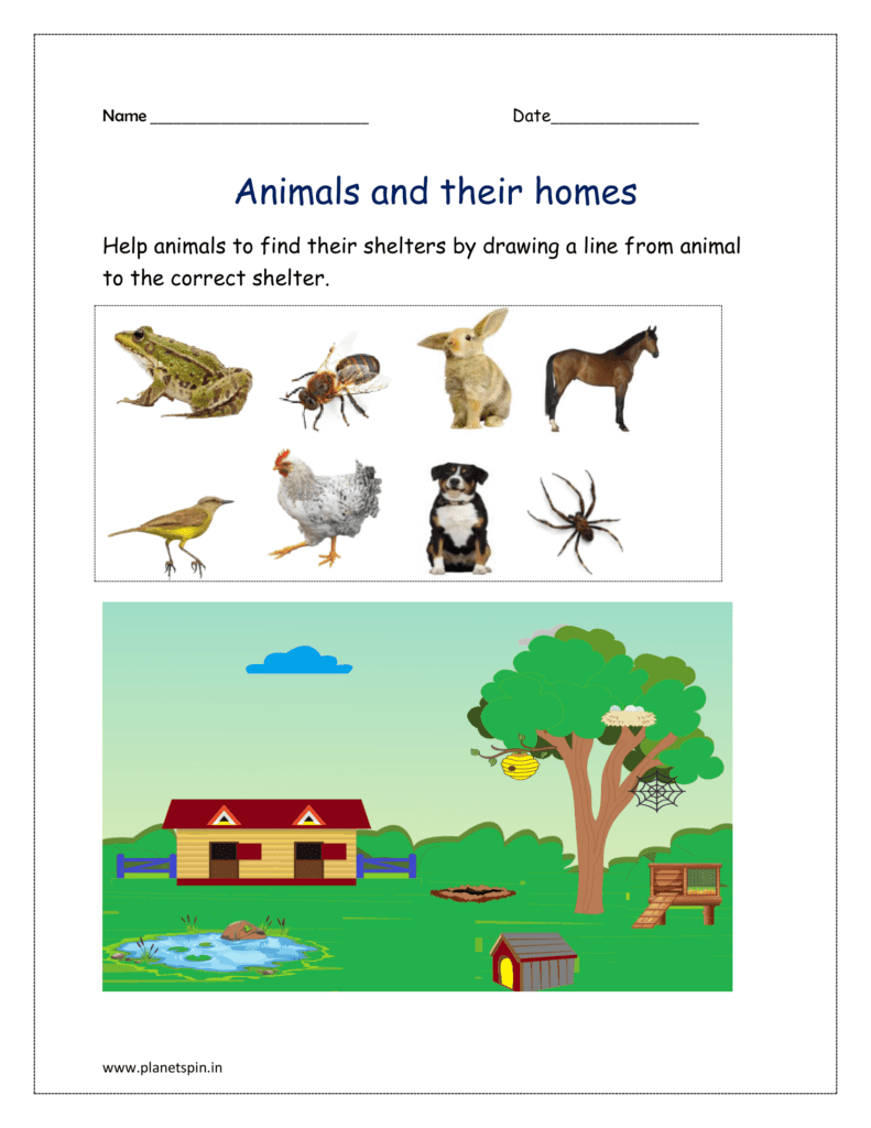 Help animal to find their shelters by drawing a line from animal to the correct shelter 