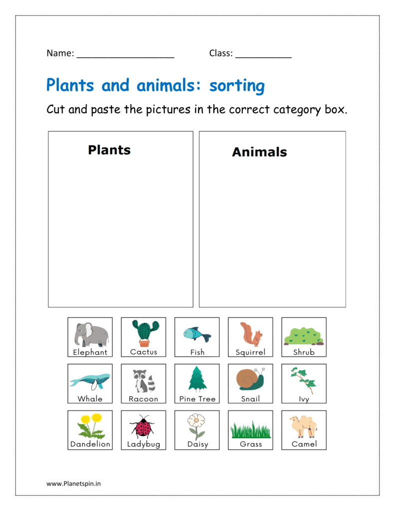 Identify and Cut and paste the pictures in the correct category box in the given worksheet pdf