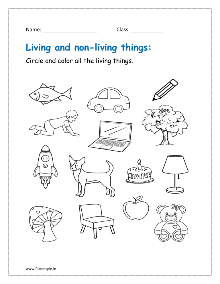 Living things and non-living things | Planetspin.in