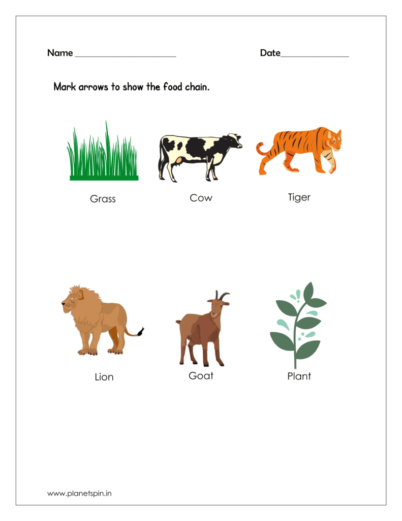 science kindergarten worksheets free