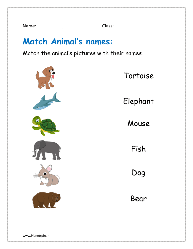 Match animals with their names from left to right