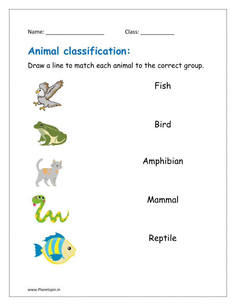 mammal reptile amphibian bird fish worksheet