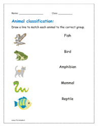 Sort the following animals into mammal reptile amphibian bird fish category