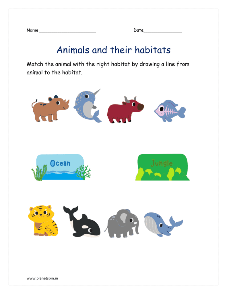 Ocean and jungle: Match the animal with the right habitat by drawing a line from animal to the habitat