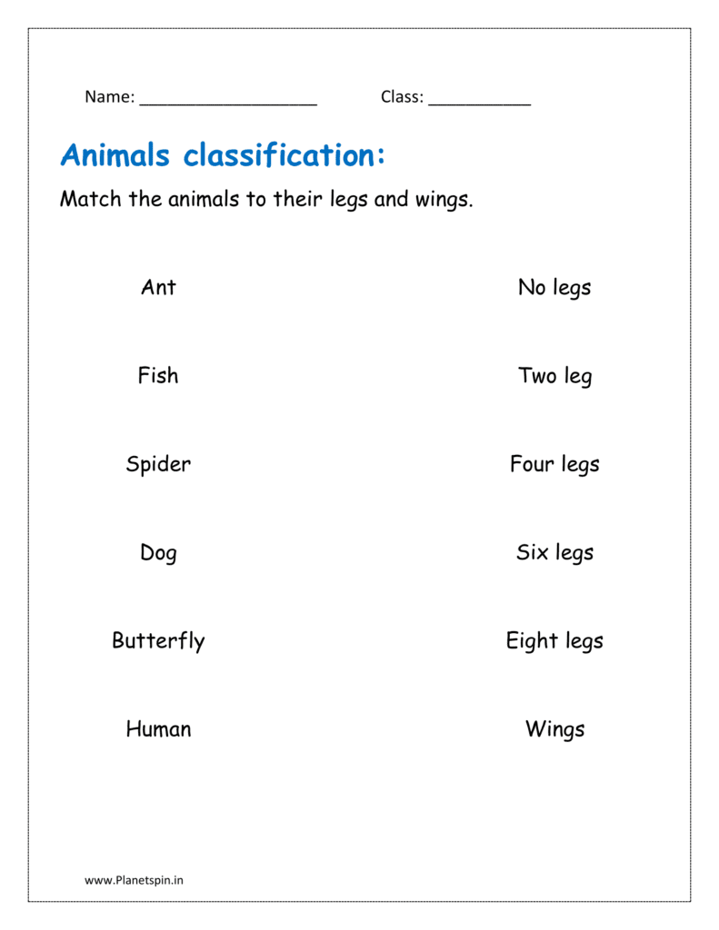 number of legs of animals worksheets