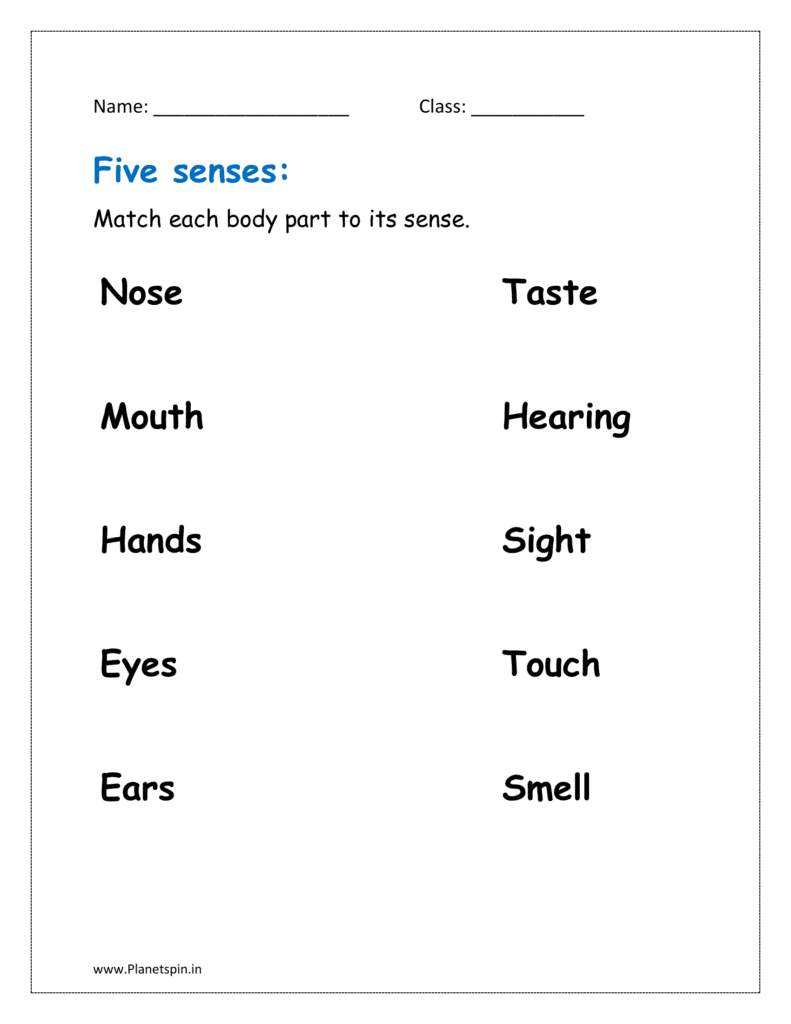 Match each body part to its sense