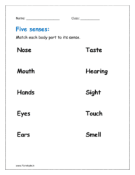 Match each body part to its sense