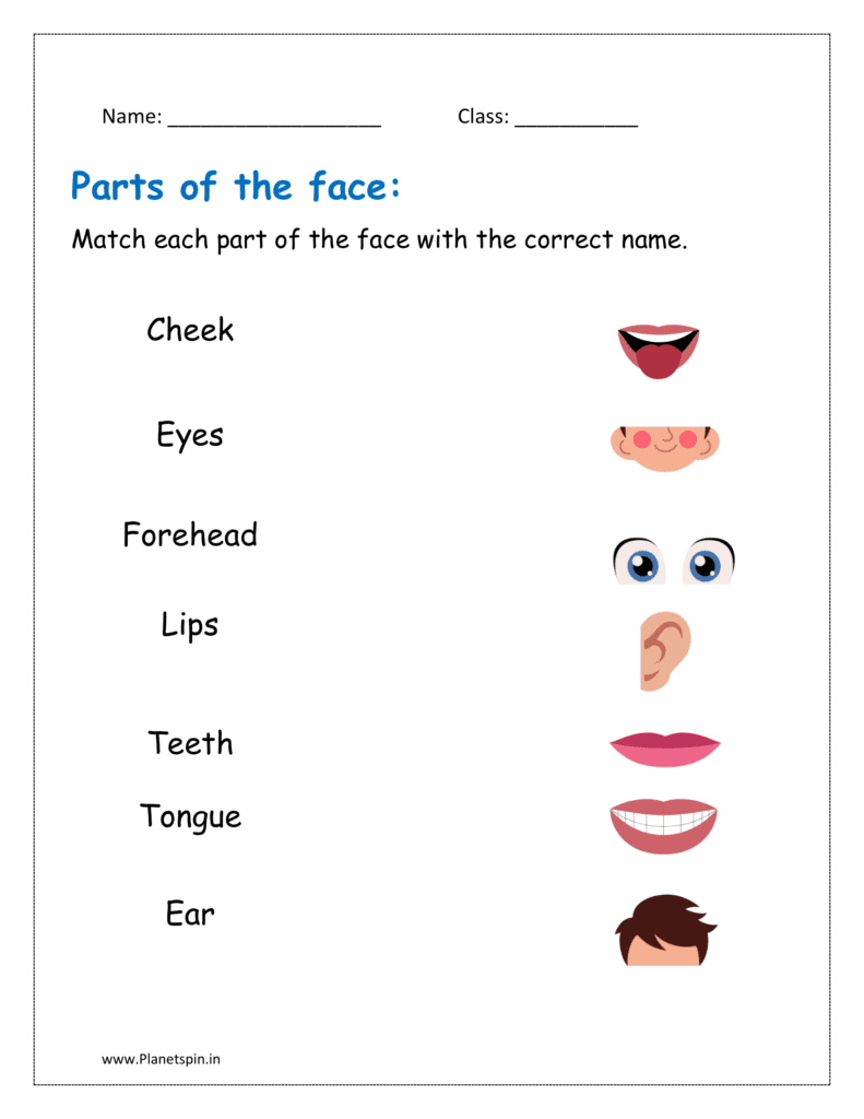 Match each part of the face with the correct name.