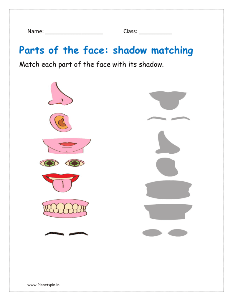 Match each facial part with its shadow in the given printable worksheet.