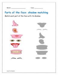 Match each facial part with its shadow.