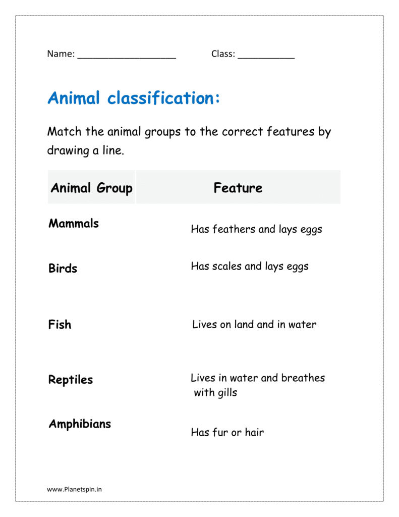 Match the animal groups to the correct features by drawing a line.