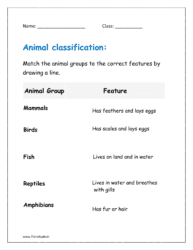 Match the animal groups to the correct features by drawing a line.