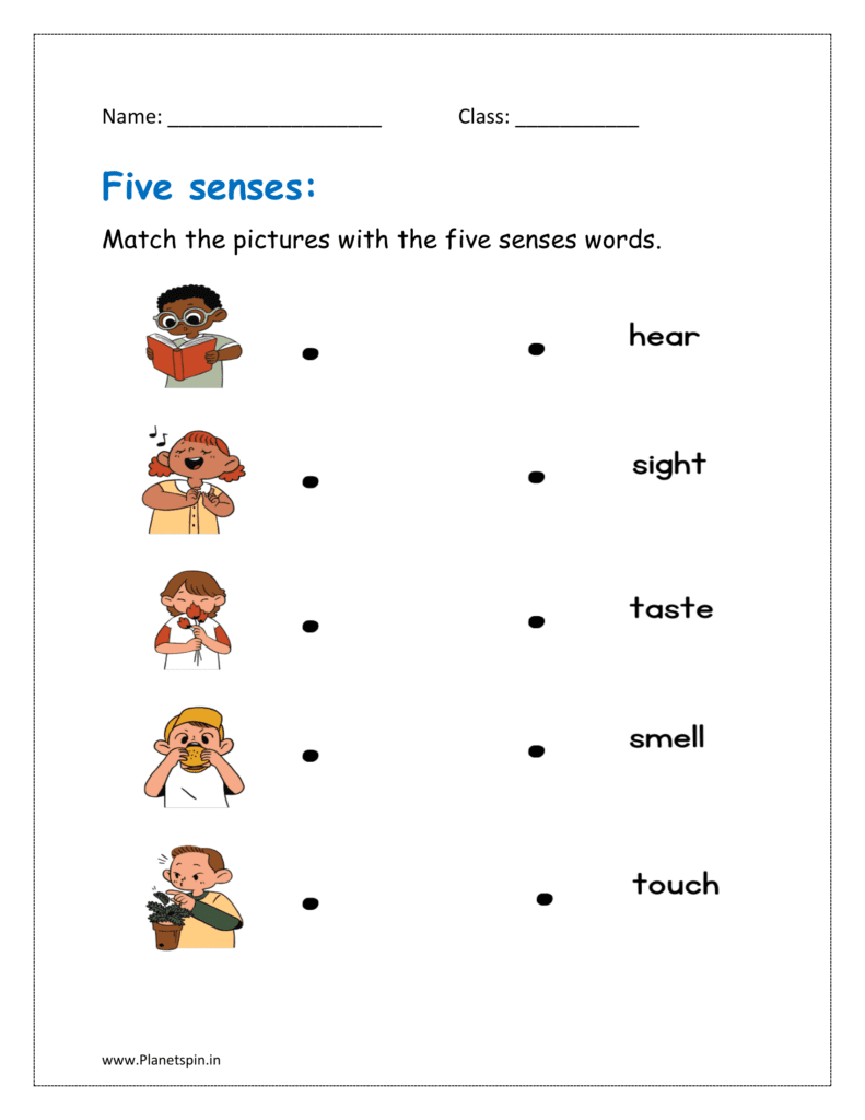 Match the pictures with the five senses words