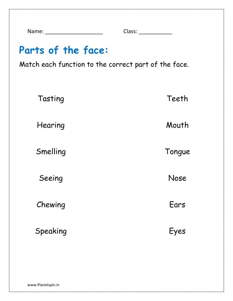 Match each function with the correct part of the face