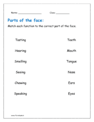 Match each function with the correct part of the face