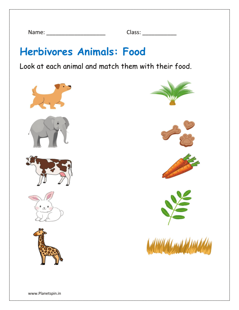 Look at each animal and match them with their food.