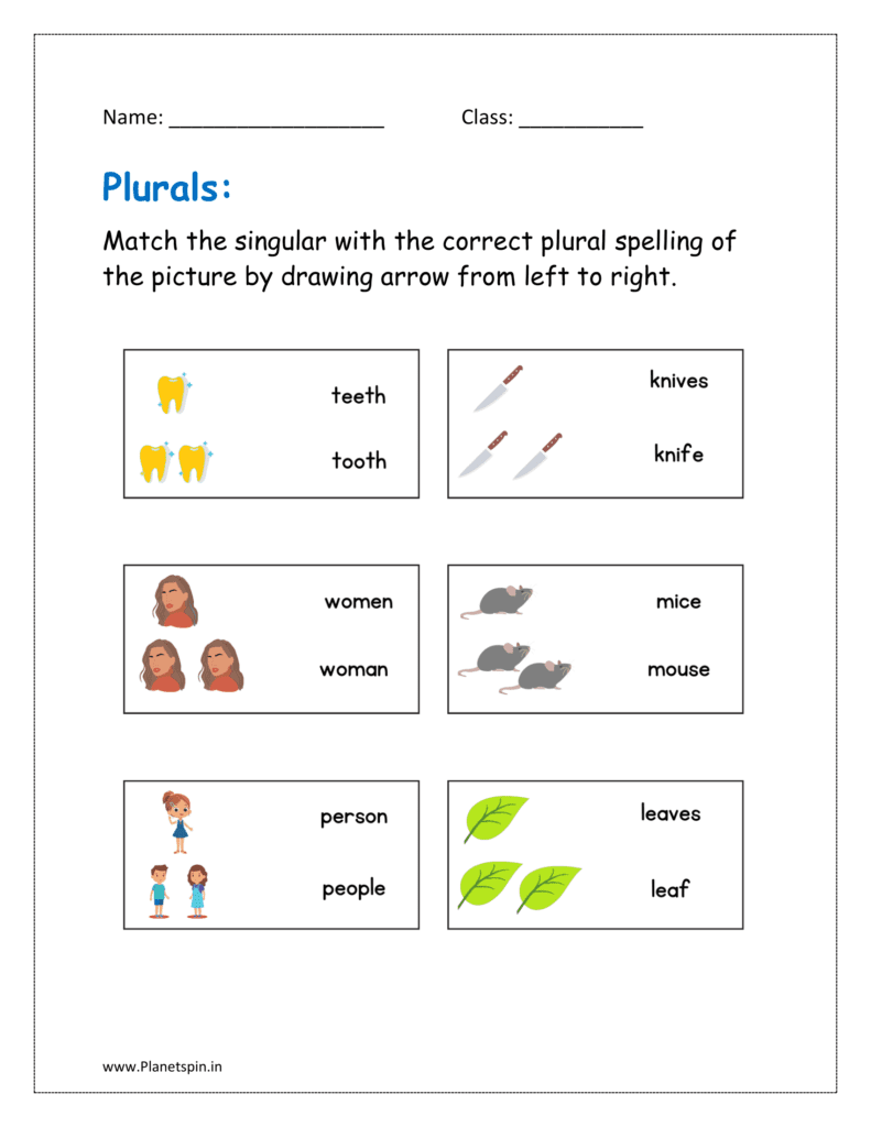 Match the singular with the correct plural spelling of the picture by drawing arrow from left to right