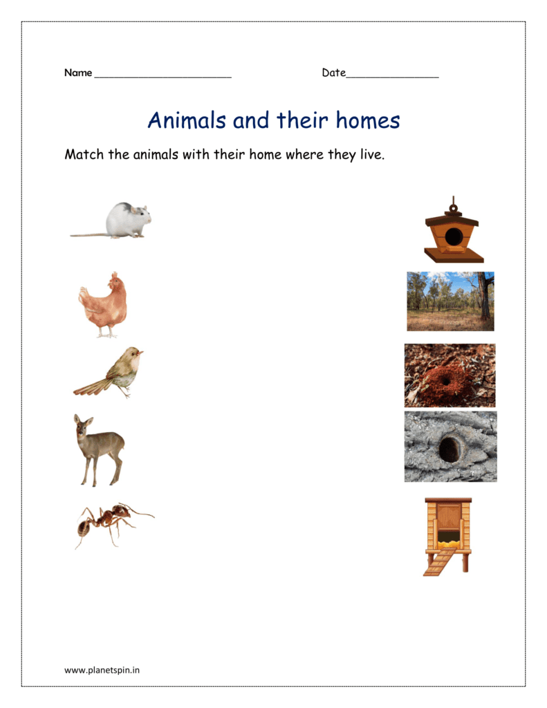 Match the animal with home