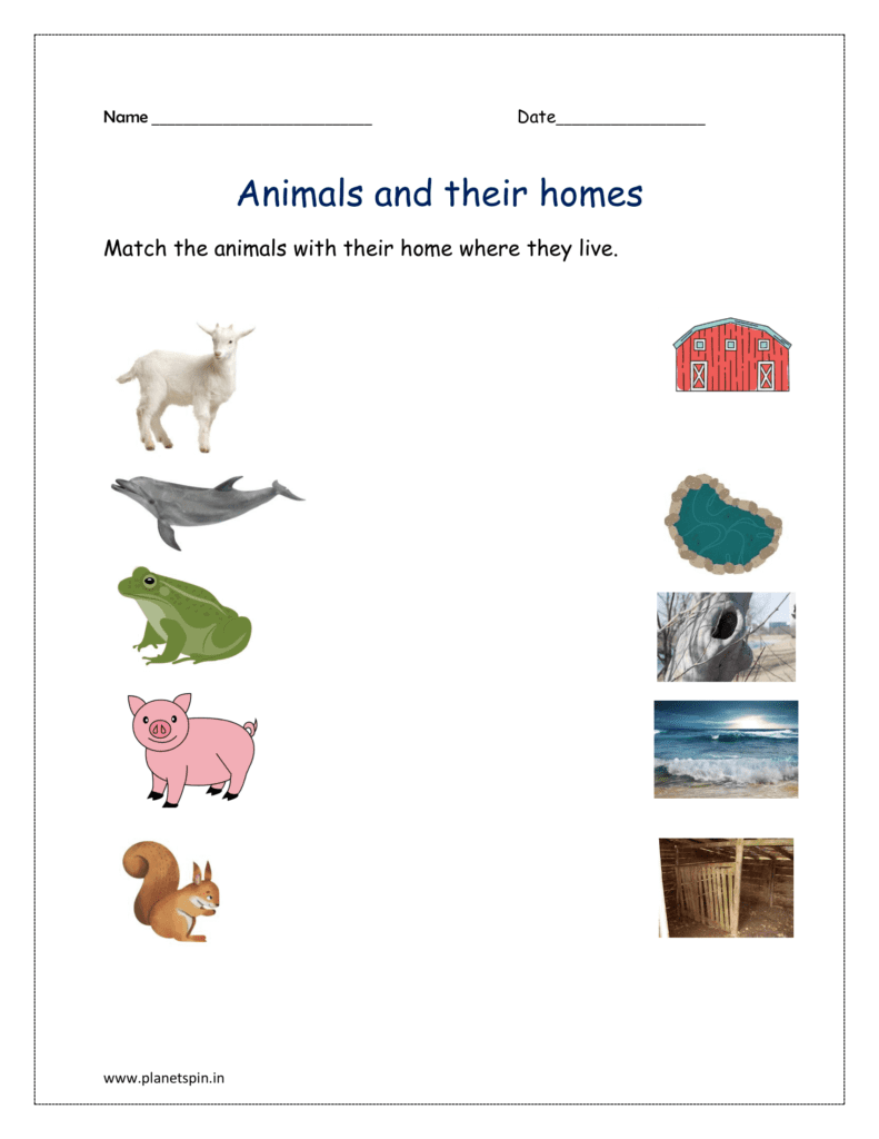 Match the animal with their homes given in the worksheet