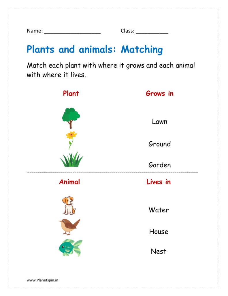 Match each plant with where it grows and each animal with where it lives.