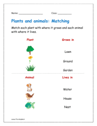 Match each plant with where it grows and each animal with where it lives in the given worksheet pdf. 