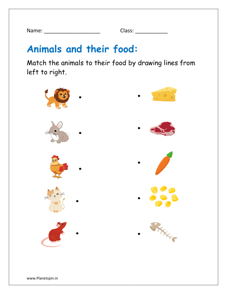 animal needs worksheet kindergarten