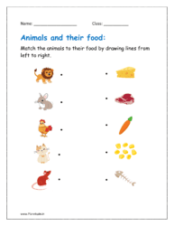 Match the animals to their food by drawing lines from left to right